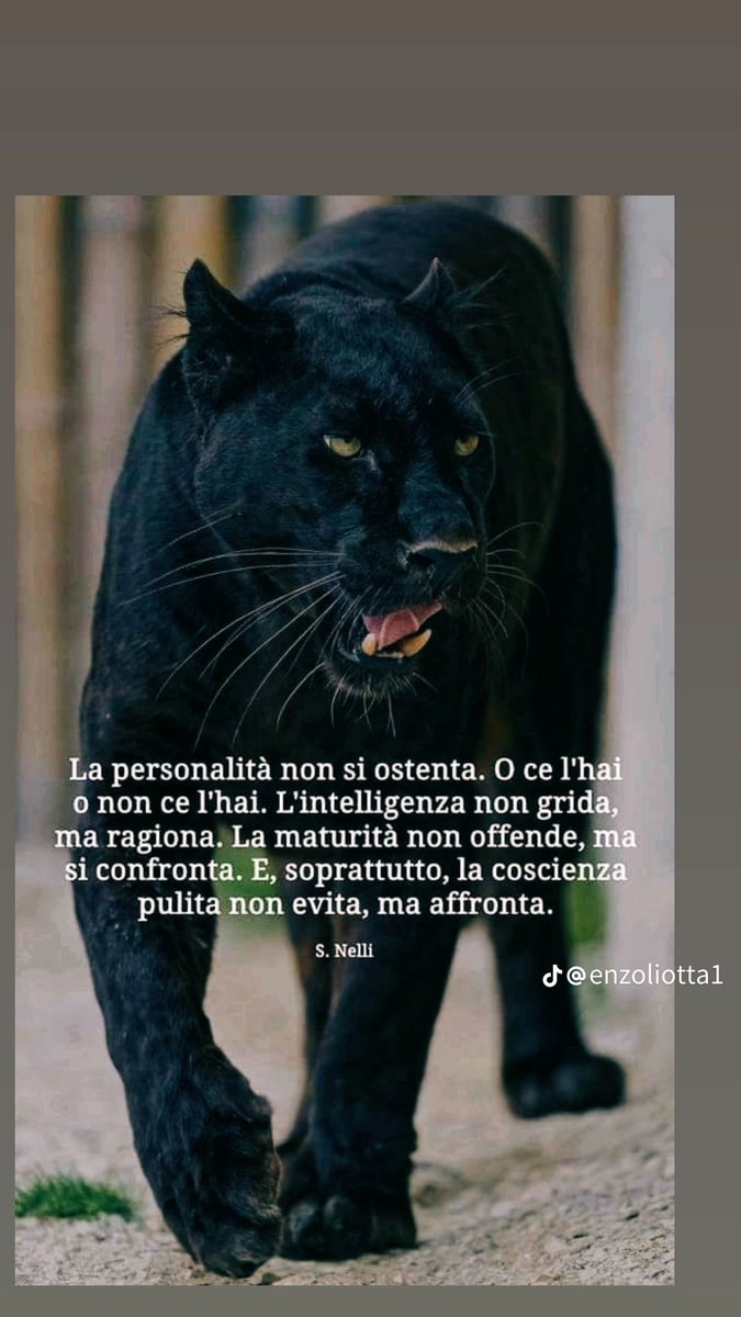 Massimo71000's tweet image. Buongiorno buona domenica ☕☕