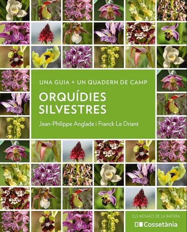 BIBLIOTECA CIÈNCIA 📚🆕
Orquídies silvestres (Franck Le Driant, Jean-Philippe Anglade)
lafinestralectora.cat/orquidies-silv…
vía <a href="/Cossetania/">Cossetània Edicions</a> 
#Botànica