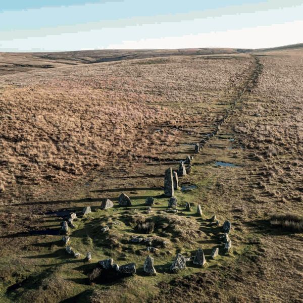 VinnieSull1van's tweet image. Despite evidence suggesting that people have survived all kinds of hardships within the British Isles for nearly a million years, we're told that all of a sudden, we need medical manipulation, excessive migration, and anti-native sentiment simply to survive.