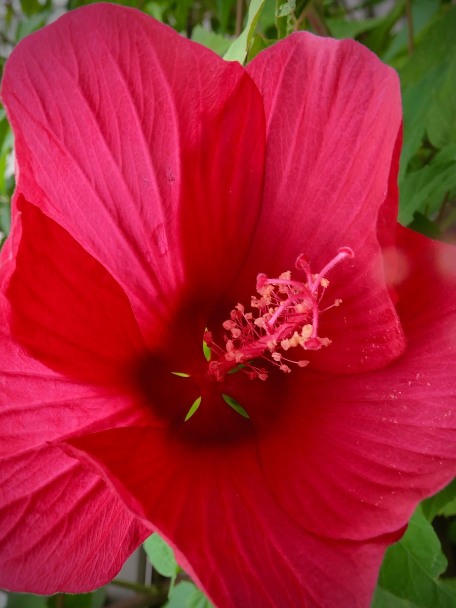 aaoo010's tweet image. 