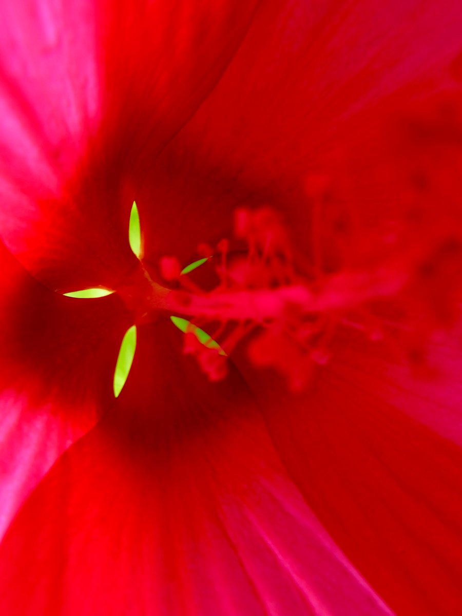 aaoo010's tweet image. 