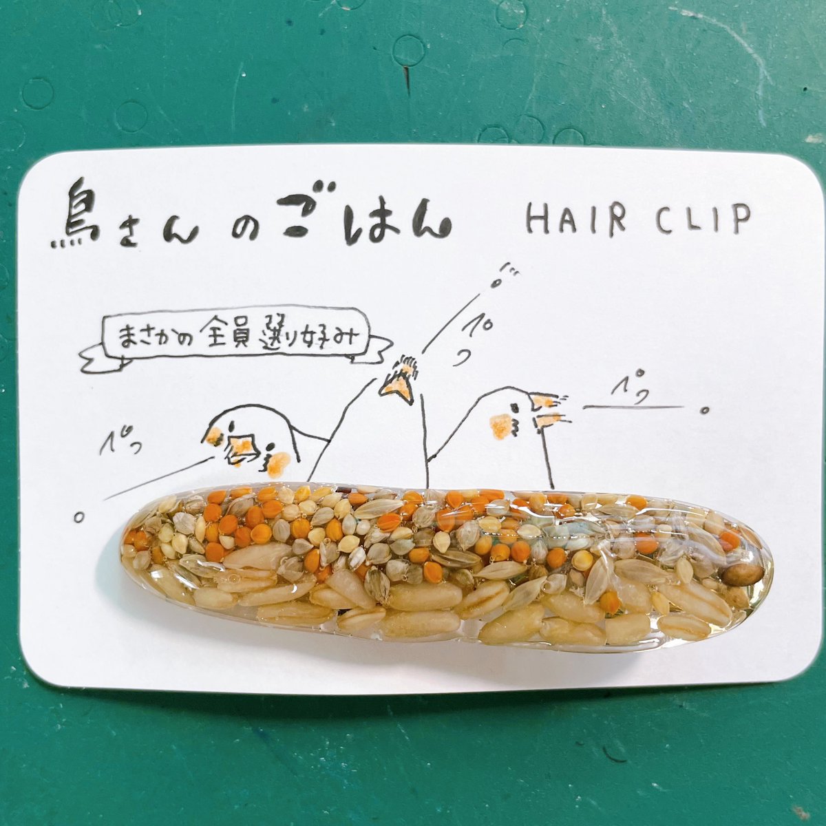 ooo035ooo's tweet image. この間は一羽でしたが、今度は全員。
何故かキンカチョウにはこういう事をしてもらいたくなります。
#新宿ことりまつり