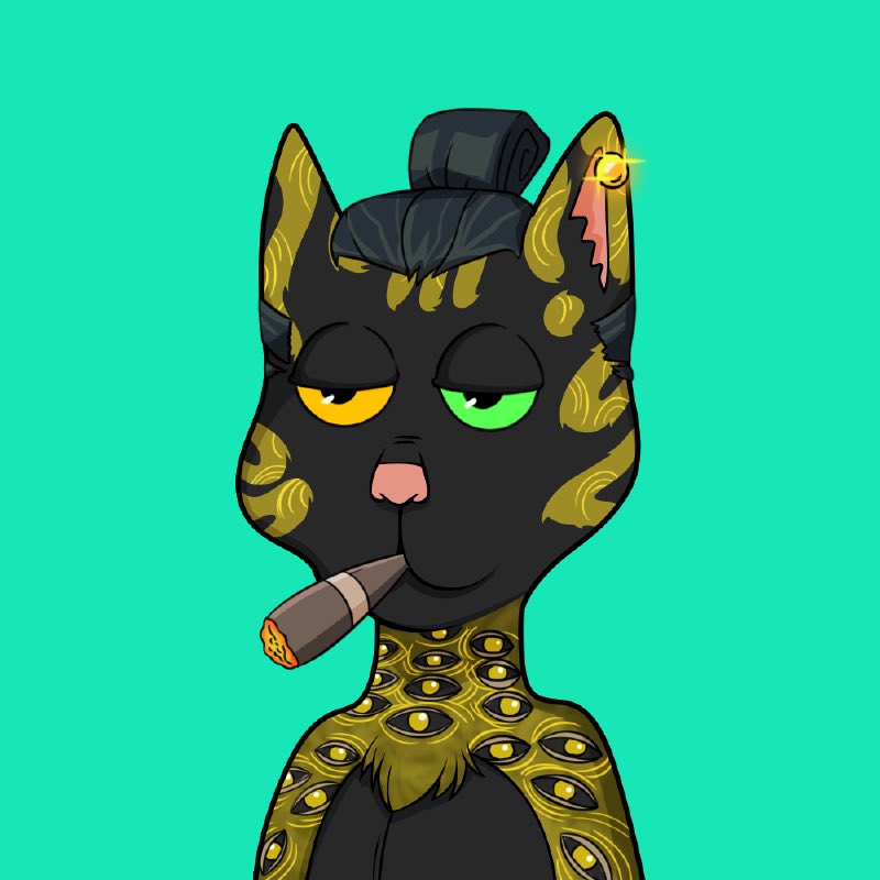 bluechipndip's tweet image. Would you believe me if I told you these were once worth tens of thousands of dollars?

Me either.

@BossCatRC @DeGodsNFT