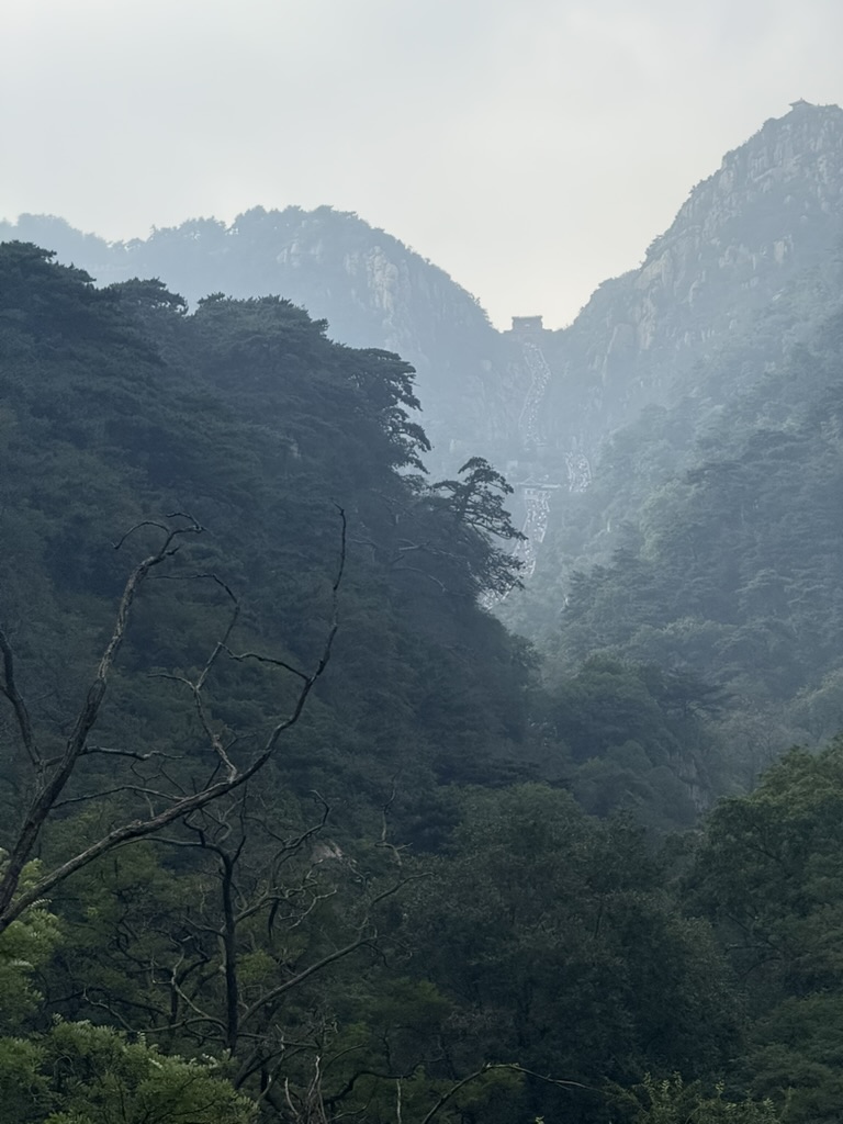 adj343's tweet image. 连续畅游了五岳中的两座山之后， 感觉到中国各个地方的百姓和北上广深之外的人群， 非常不一样， 不管是穿着打扮， 还是长相。 例如， 小红书主播，网红脸和商K里小姐长相的人一个都没见到， 一万个里都没有一个。 突然理解了为什么有人要整成那样， 因为万里挑一啊， 在做生意和流量上有优势。