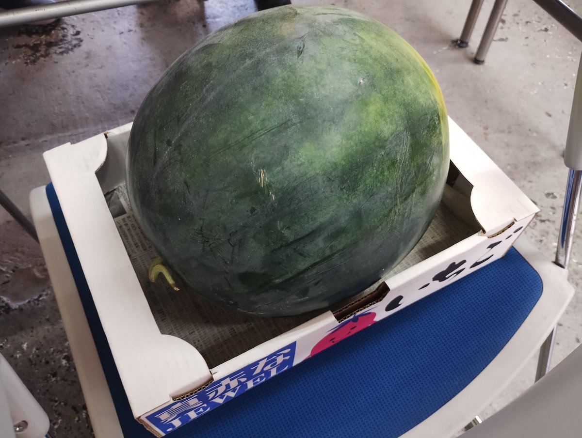 mikke_863's tweet image. ミニ四駆してたらスイカ頂きました！
ねー(´∀｀*)ｳﾌﾌ