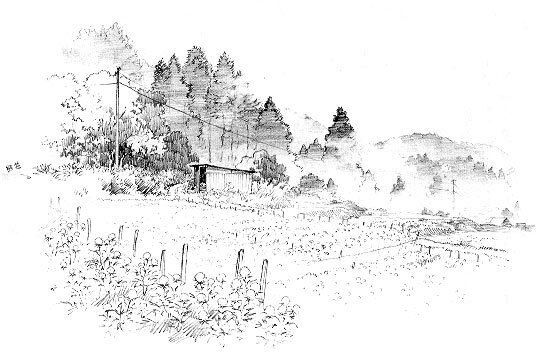 gen_ghibli's tweet image. ✏️ Bocetos originales de &apos;Recuerdos del ayer&apos; (Isao Takahata, 1991).