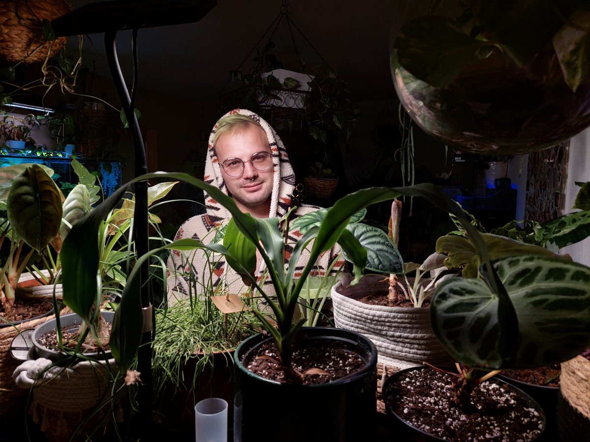 MrGreenity's tweet image. gm legends ☀️
plant up your life! 🌿
prepare for some content to come, i think i found my "niche" (i am my niche).