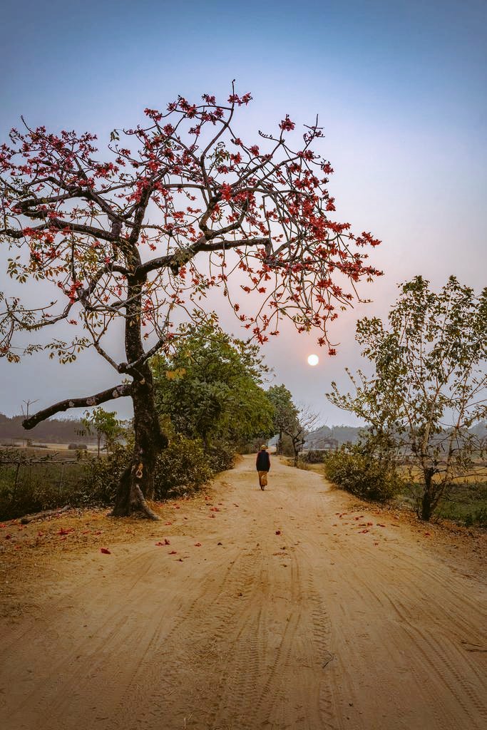 104Hamode's tweet image. يعز على الإنسان أن يمشي
طُرقًا لا يرغبها... ولكنها الحياة