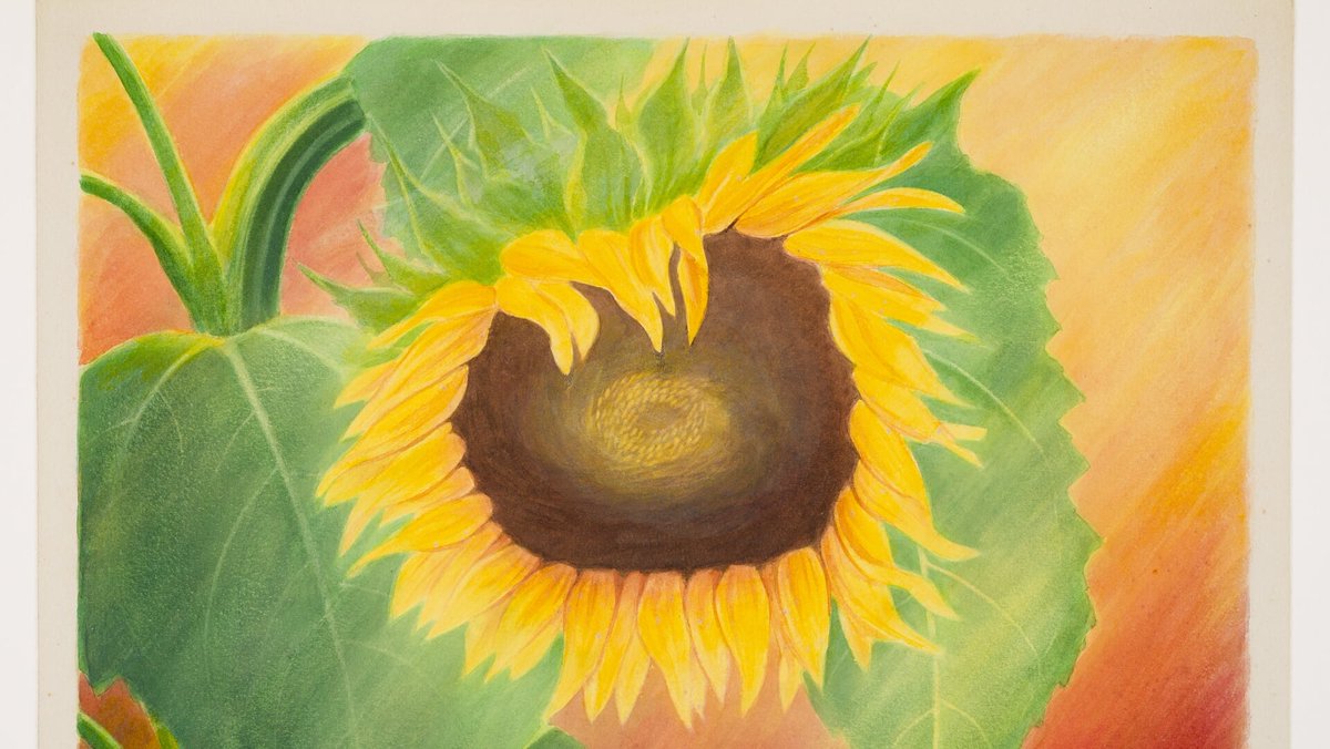 Aquarellen van Frans Copijn te zien in Karbonkel dlvr.it/TM7kjz