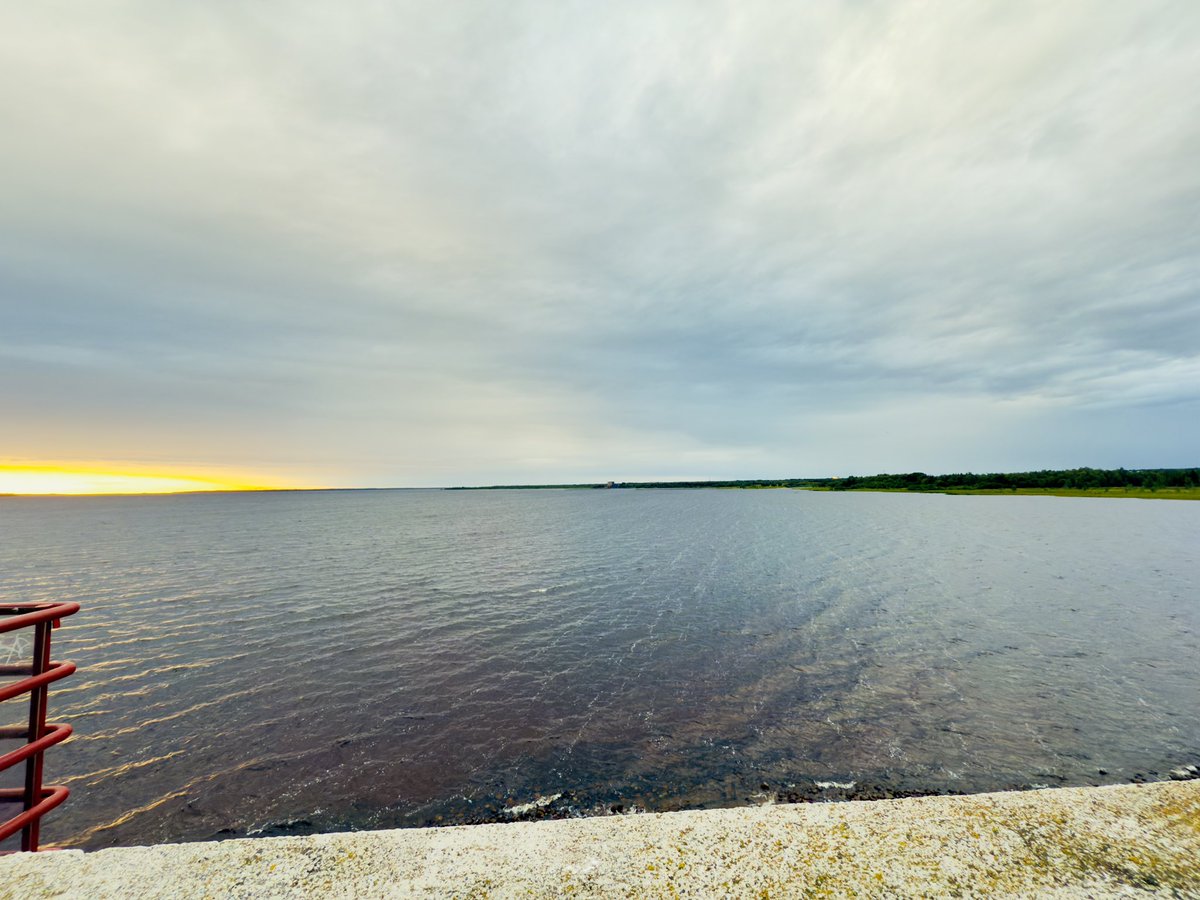 Mamoona55954331's tweet image. Instead of begging for someone’s attention... Go read the books, talk to the nature.. #Motivation #NatureBeauty #NatureStudy