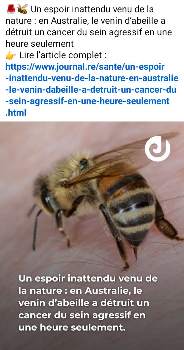 Incroyable ?! 
Selon des résultats consolidés et rapportés récemment, le venin d’abeille, ou plutôt sa molécule, la mélittine, montre une capacité à éliminer en laboratoire 100 % des cellules cancéreuses triple négatif en moins de 60 min, tout en préservant les cellules saines .