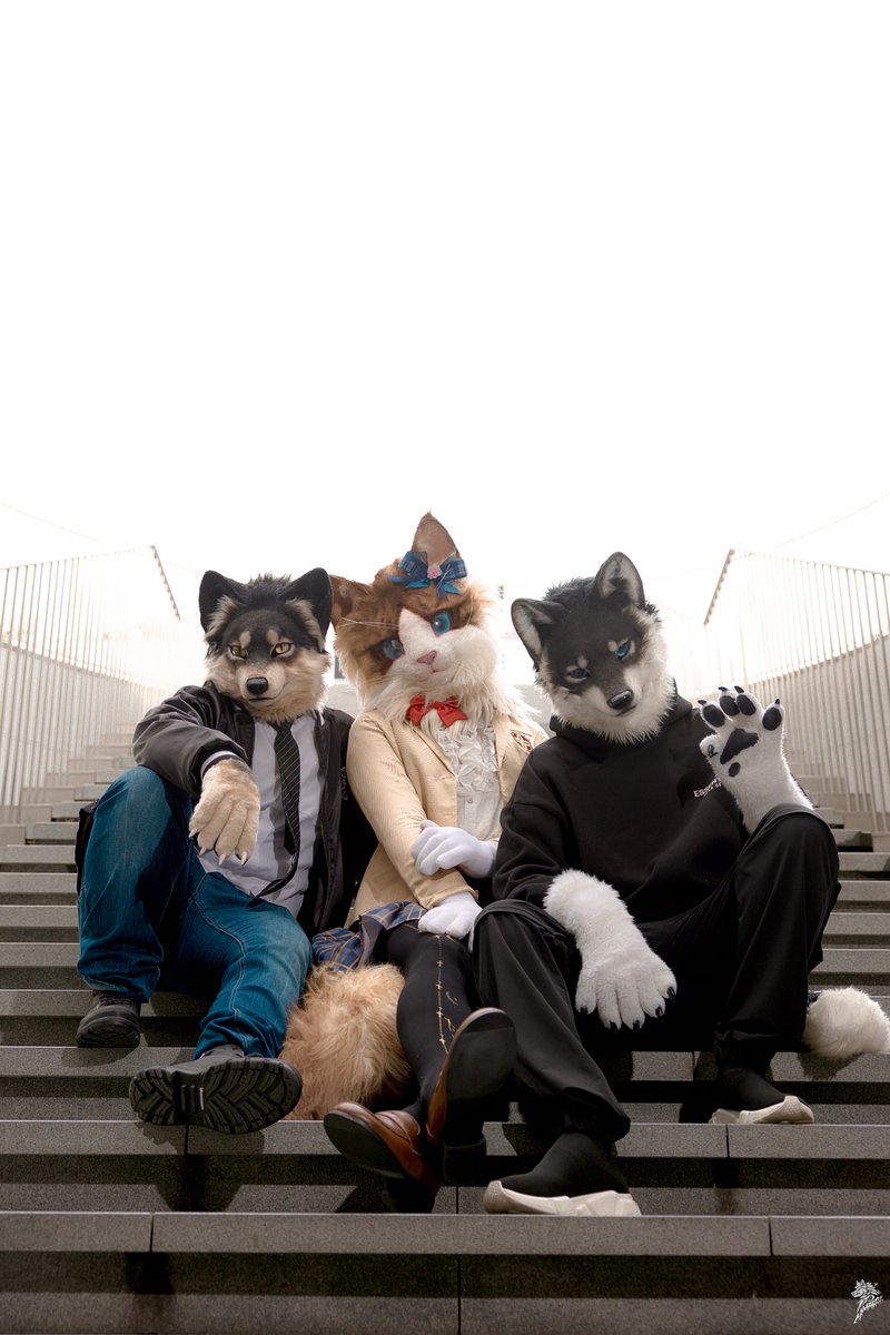 After school 🏫
#FursuitEveryday #創造トリアノン
📷 <a href="/chiuwolf/">Wolf Chiu</a>