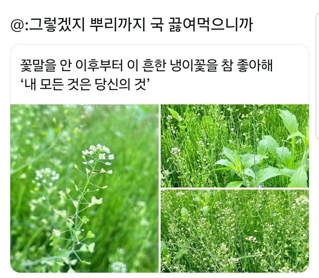 잼얘봇 (@zamyaebot) on Twitter photo 