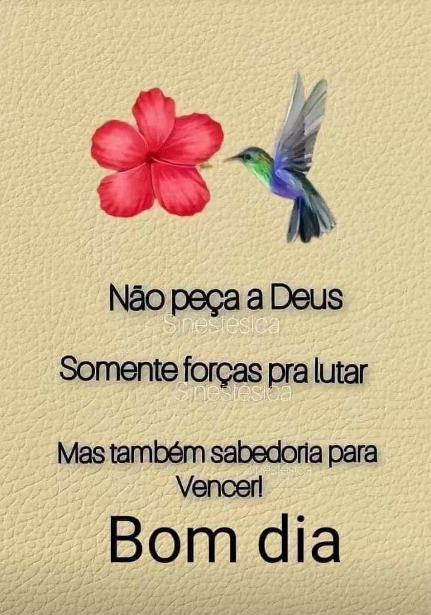 “Não teremos essa idade novamente.
Nem viveremos este julho outra vez.
Nem seremos exatamente como somos agora. Isso nos lembra que a vida é um instante - por isso, esteja onde você se sente bem.”

Abençoado domingo !🙏