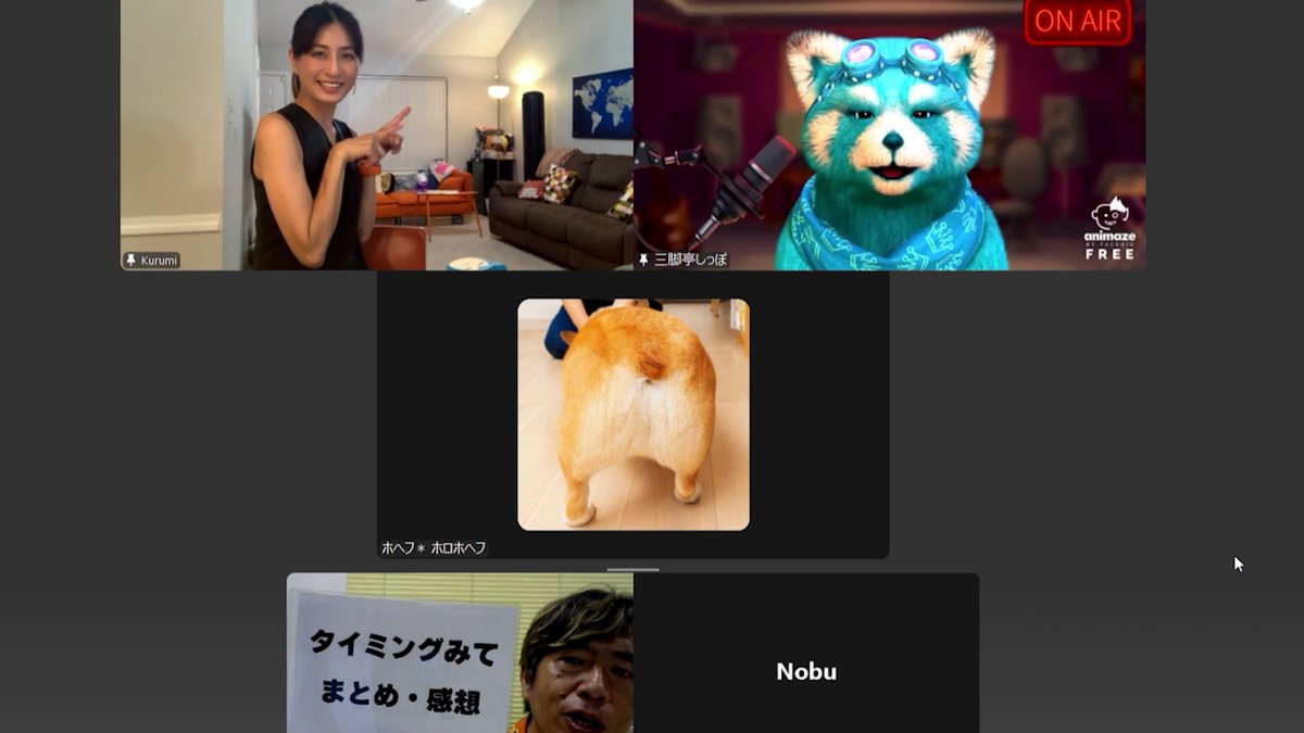 hoshuto3's tweet image. 日曜午後も元気にハイサイ!
午前中の保守活は
#教えてくるみ先生 の収録。
はい、Zoom画面がカオスになっています。
もののけ姫・・・じゃなかった
くるみ先生が、猛獣たちに笑顔で無茶振りしてきます。
さすがにノーカットでは無理ww
整えて近日公開!