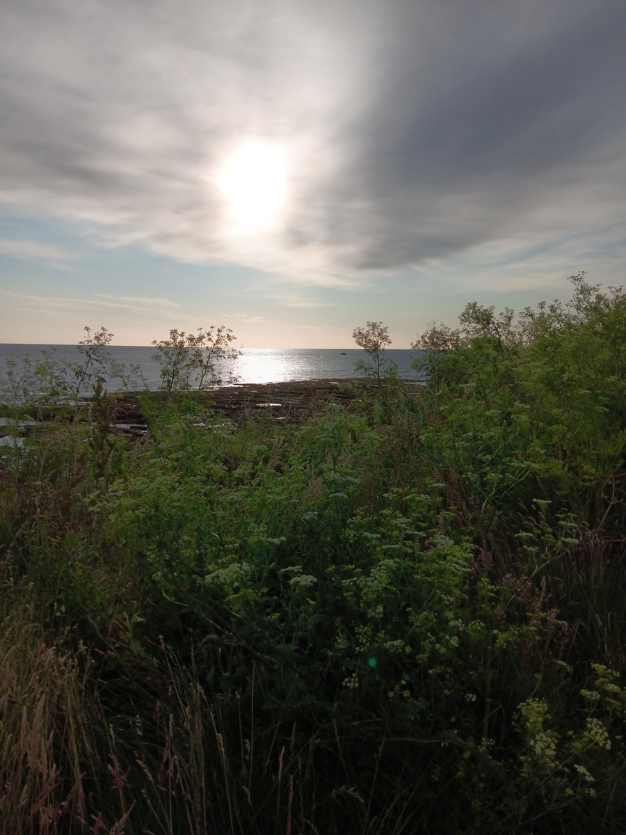 Morning guys 
#Seahouses
<a href="/NorthEastTweets/">North East Tweets</a>