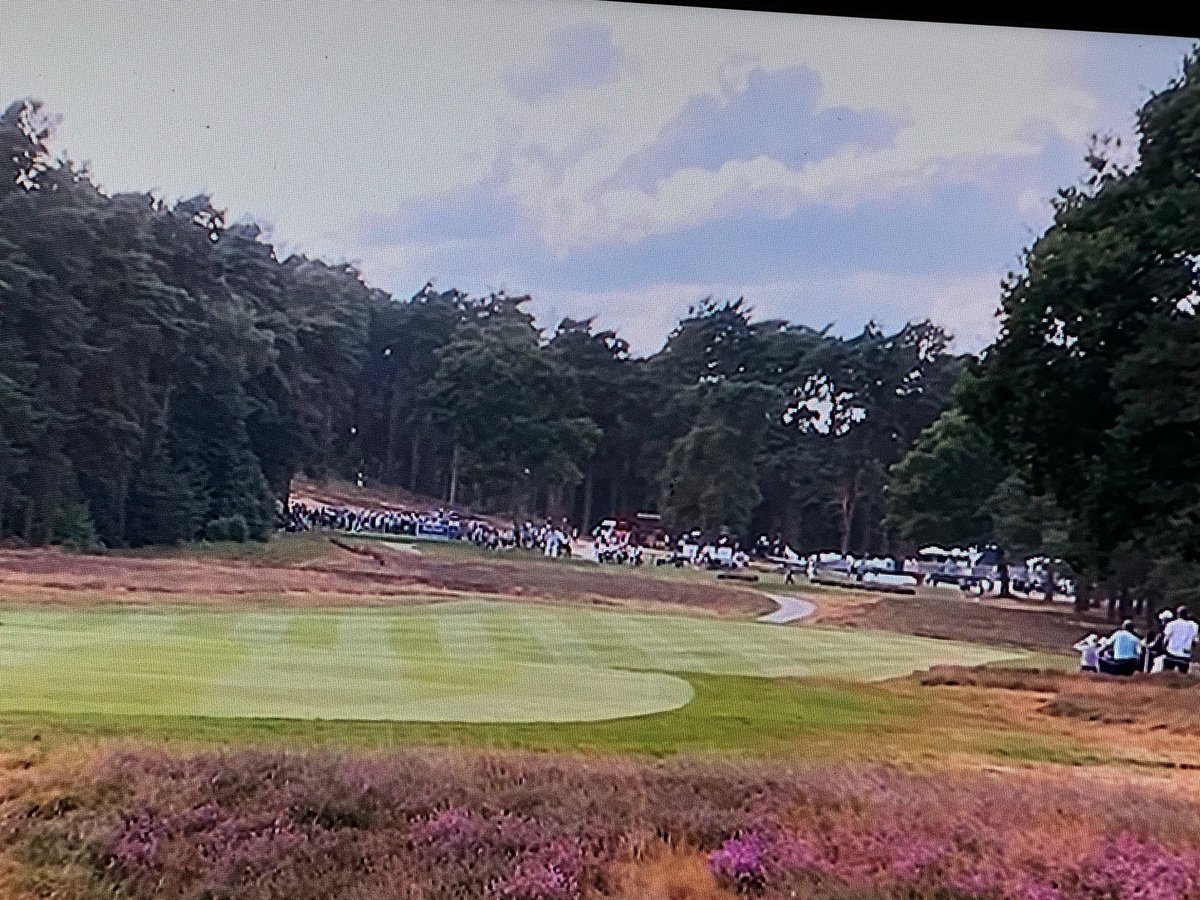 bubba_kent's tweet image. How cool are native areas?