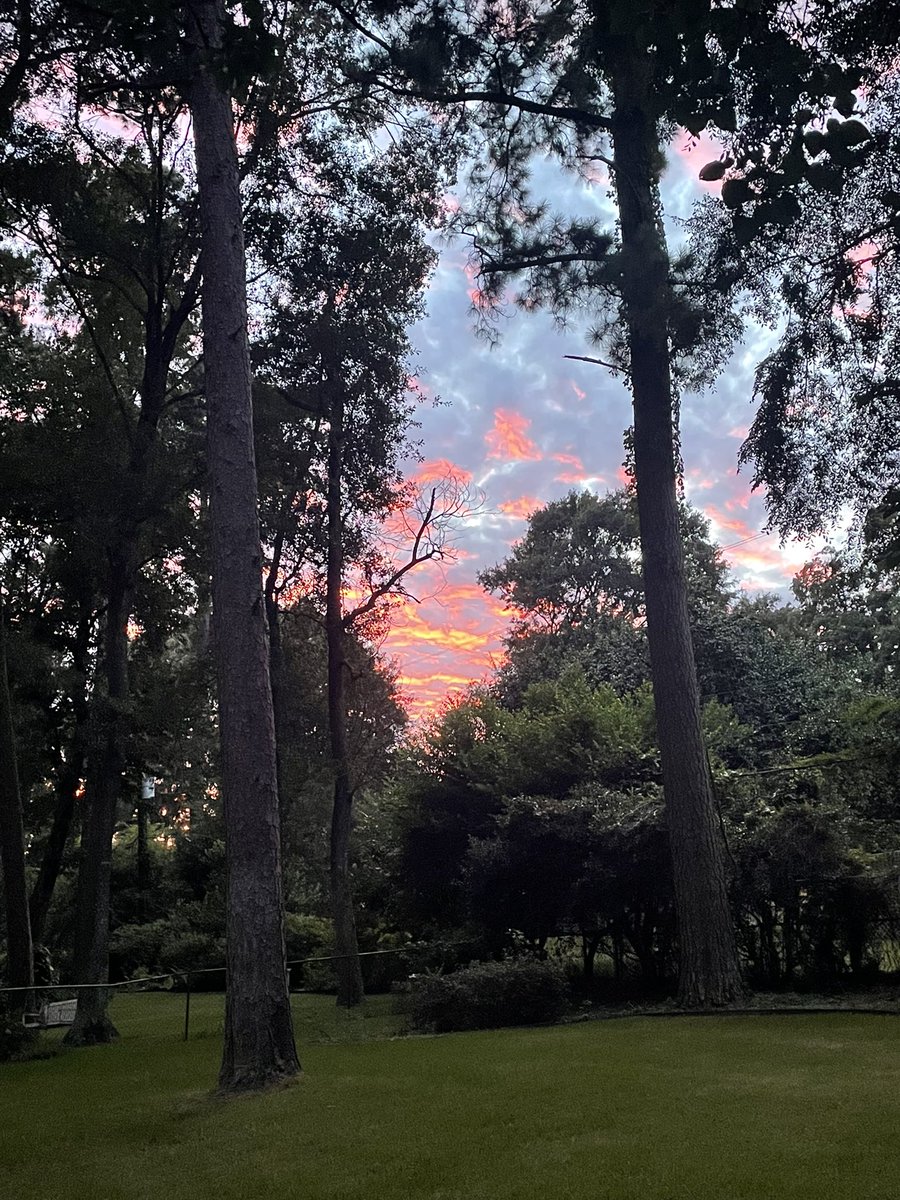 Ash_Em_Jacks's tweet photo. When the sky looks like a painting and the pines frame it just right… 💜🌲

#Nacogdoches #Backyardviews https://t.co/SGgcf8g5oX