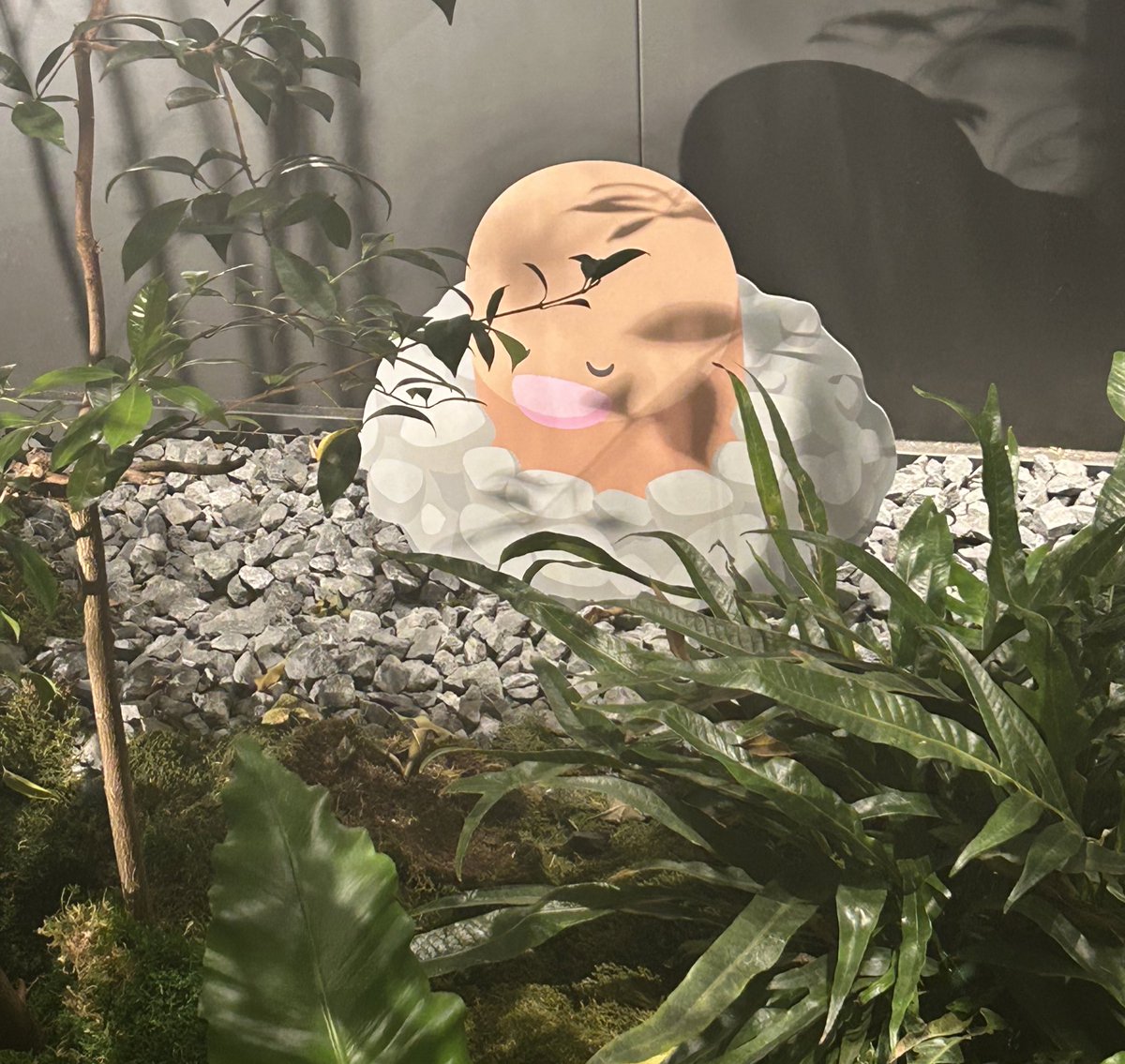 damyon1112's tweet image. #ポケスリ2周年をいっしょに 
👀✨