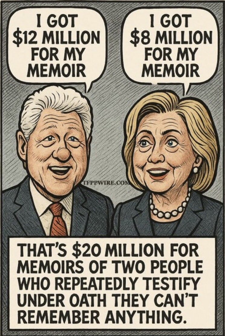 SwedishCanary's tweet image. Yeah how is it corrupt democrats can write memoirs but can’t recall a damn thing in a Congressional hearing?!?