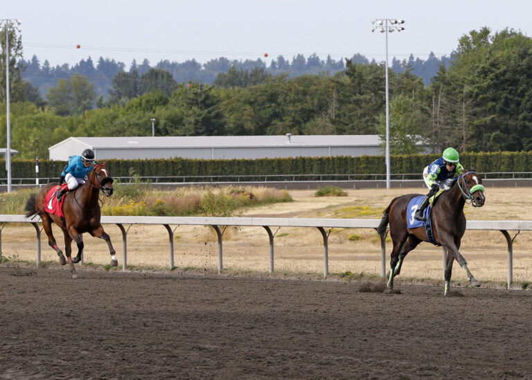 EmeraldDowns's tweet image. Saturday Wrap

emeralddowns.com/emerald-downs-…