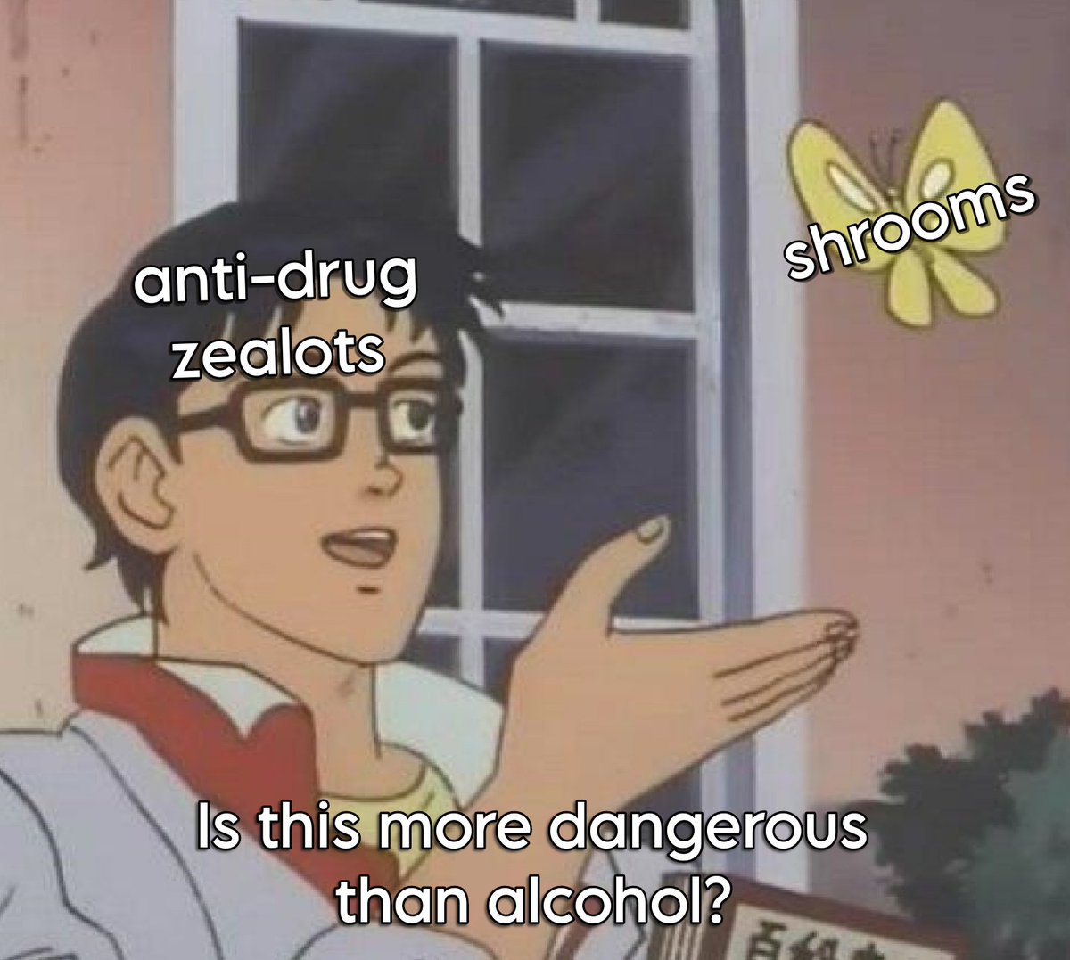 APsychedelics's tweet image. These people think that even WEED is more dangerous than alcohol. Their views on Psilocybin aren't any more rational ๐ฆ