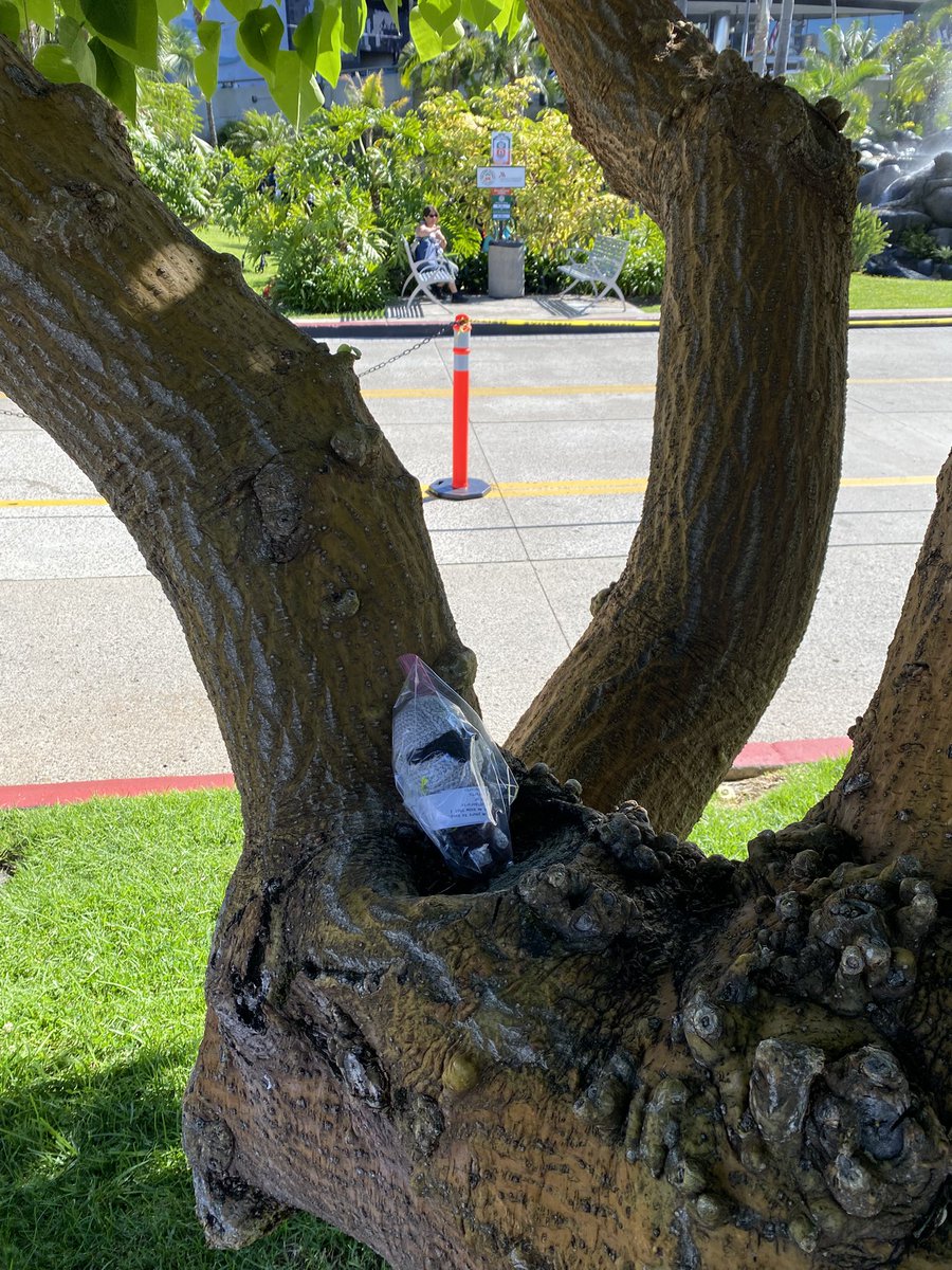 PaintedworldFiberarts tweet media