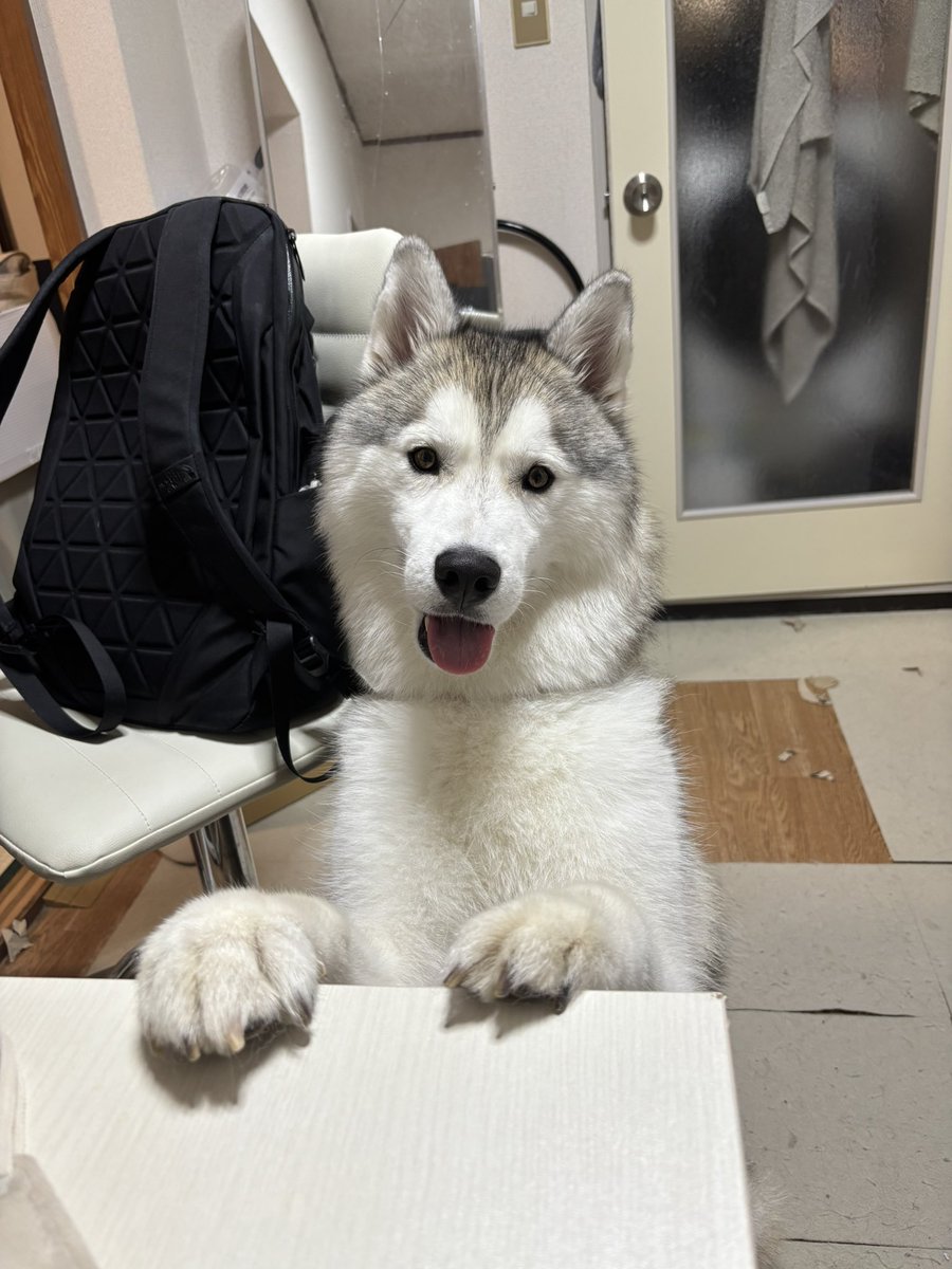 rn2312412's tweet image. 