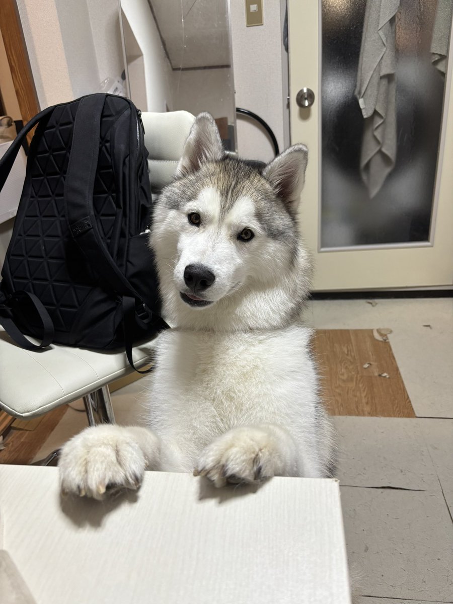 rn2312412's tweet image. 