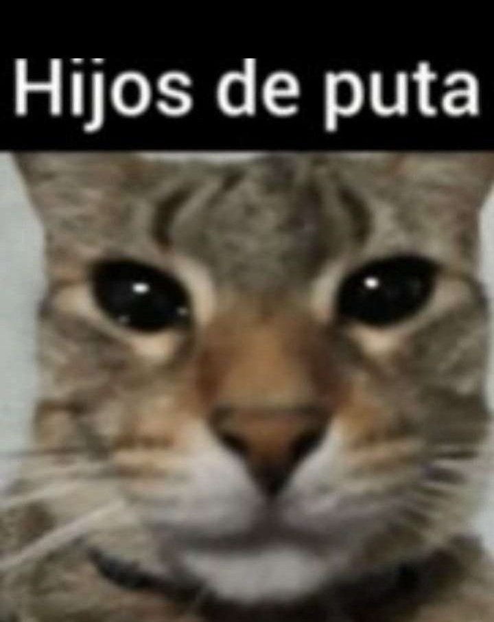 Fal 🍡 tweet media