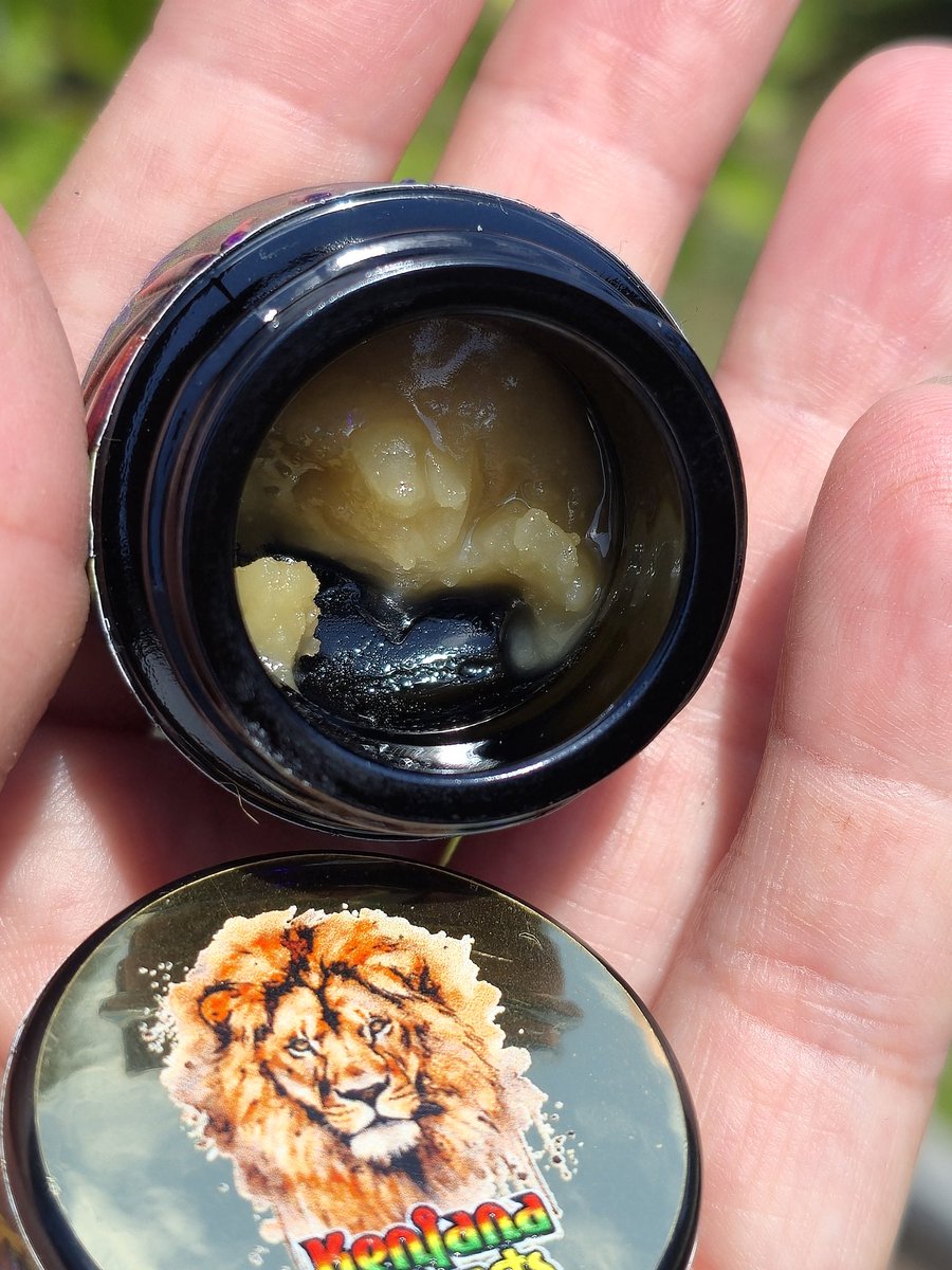 Cozy__Cubes's tweet image. Its time to wash the tank and prep for tomorrow's feed. So that's means we're rippin phatty's. Thank you for sharing the terps with the community, brothas! Cheers, everyone!!
@KenjanaExtracts @BJ__Farms