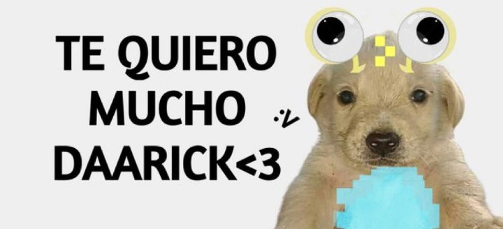 AlfRod2000's tweet photo. mano el ultimo en desconfiar en ti seré yo, da igual lo que digan... Tu podrás ser algo descuidado y torpe, pero nunca serás una basura de persona, y se que los pequeños defectos los podrás solucionar con tiempo.
No te desanimes por webadas, recuerda que TU ERES MI BUFFON ❤️❤️❤️ https://t.co/rsHwQK3Kk4