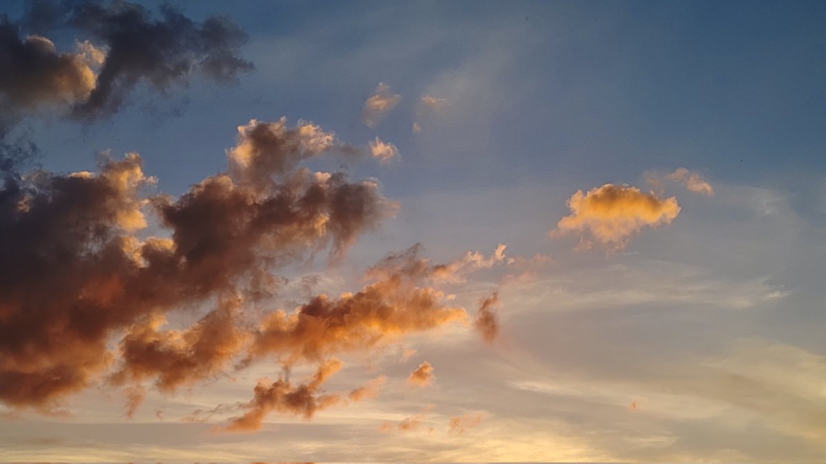 SayaliB5's tweet image. "It's just a color combination" the color combinations