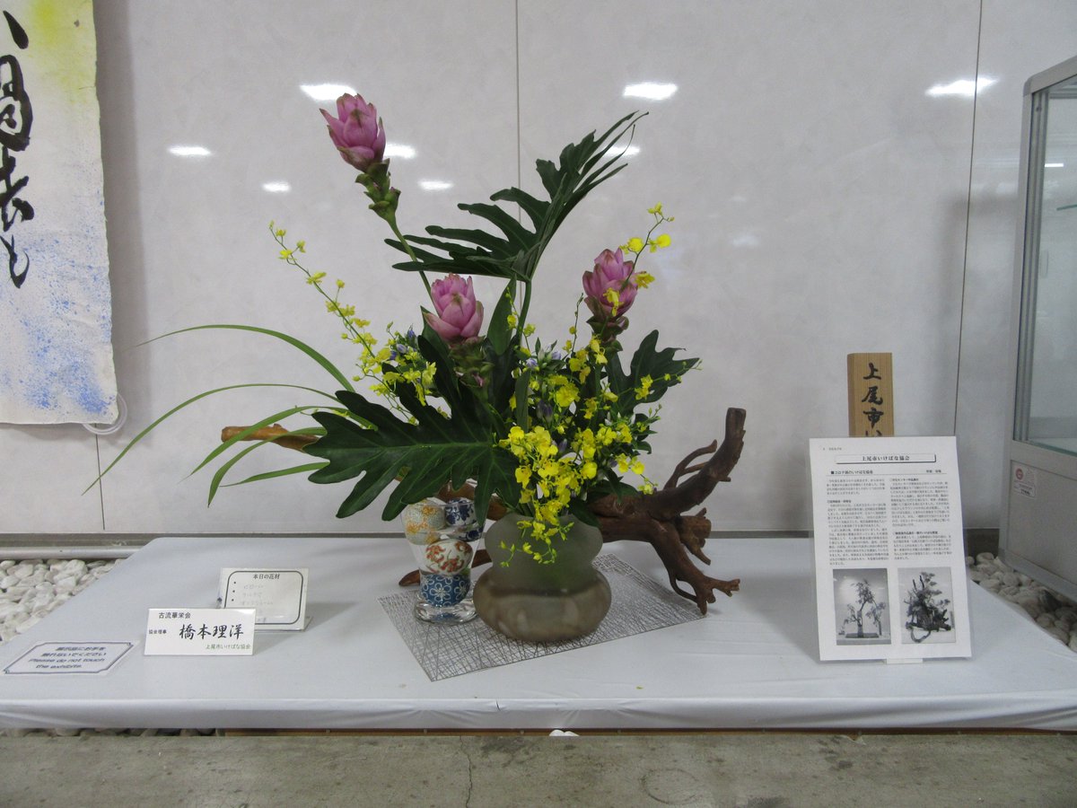 ageo_ccc's tweet image. 【ラウンジ 四季のいけばな】
▼期間 7/26~8/2
▼担当 橋本理洋
▼流派 #古流花栄会
▼使用花材 セローム、クルクマ、オンシジューム、りんどう