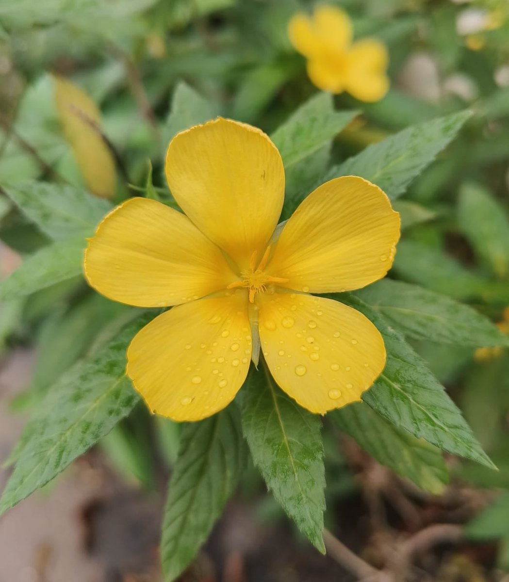 Know nature,
 Otherwise nature will never know us.😀🙏