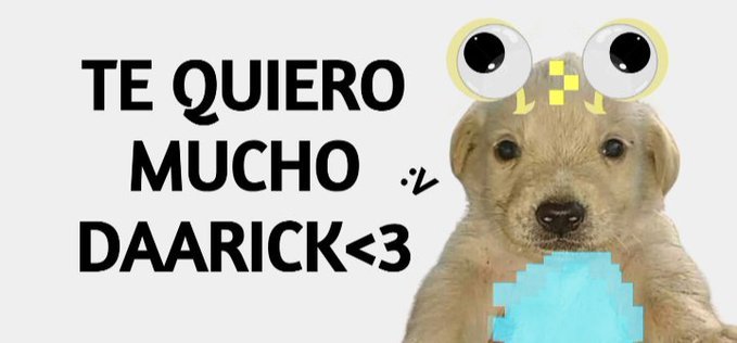 Amorfoda tweet media