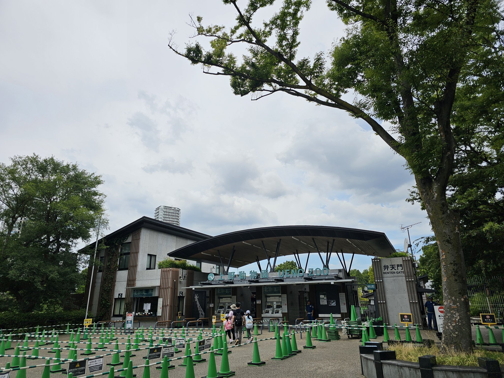 水彩画　　上野動物園の仲間達 大好きな大好きな上野動物園のオールスター🩵🩵🩵 もう300回