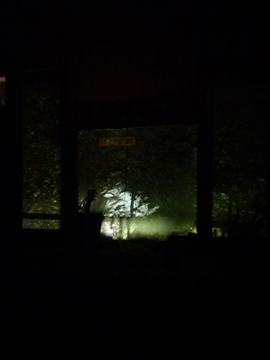 At 3 am, glass was frosted, you could see the shadows of trees and plants moving gently. The streetlight added a soft glow, giving the whole thing a kind of dreamy, abstract look. It felt like a quiet little scene meant just for that moment. Funny how beauty shows unannounced :)