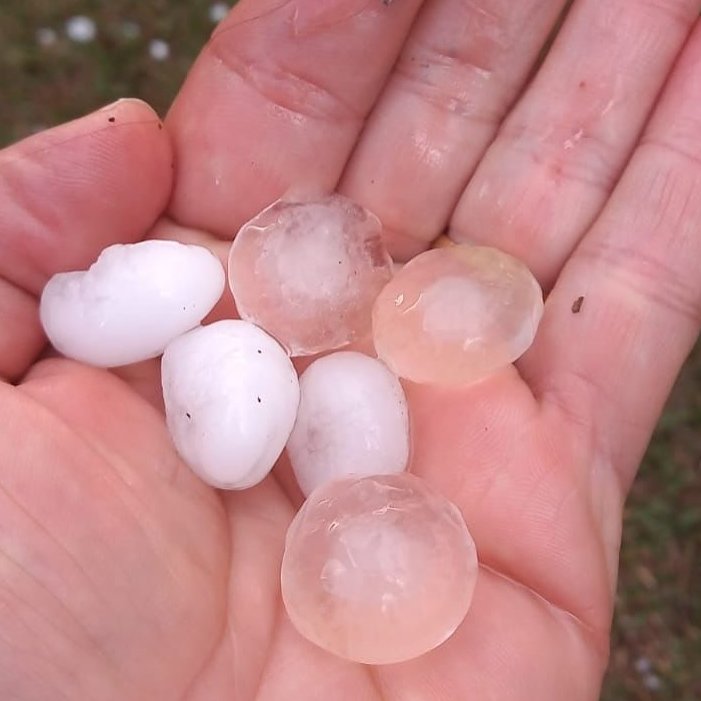 SpillingTheBean's tweet image. *BREAKING #KC BRAZIL #COFFEE DISASTER;
-At least 17 coffee municipalities have been hit in the last 24 hours by INSANE hail storms across Southern Minas, Brazil's TOP-coffee growing region,
-Hail storms and damage has ALSO extended to VAST parts of Alta Mogiana, Cerrado Mineiro…