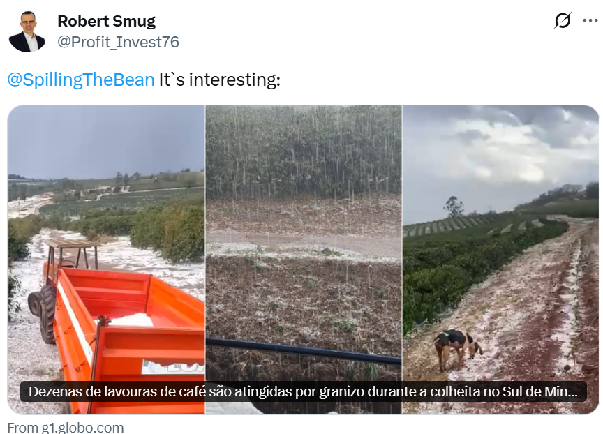SpillingTheBean's tweet image. *BREAKING #KC BRAZIL #COFFEE DISASTER;
-At least 17 coffee municipalities have been hit in the last 24 hours by INSANE hail storms across Southern Minas, Brazil's TOP-coffee growing region,
-Hail storms and damage has ALSO extended to VAST parts of Alta Mogiana, Cerrado Mineiro…
