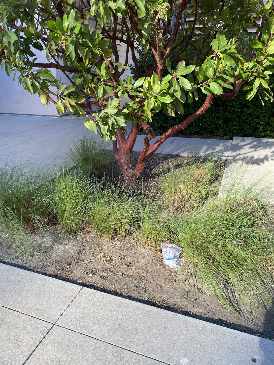 PaintedworldFiberarts tweet media