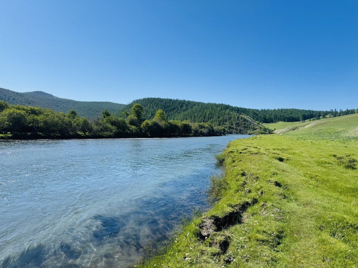 Өглөө болгон голоо дагаад 2 цаг алхаад байхад бодол нэлээн цэгцрэх шинжтэй.  
Эгийн гол #DAY6