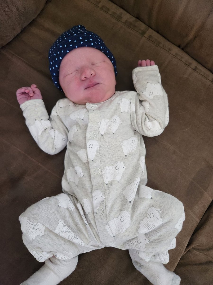 Joey Young tweet media