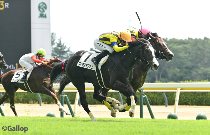 まねき馬レインボー 1799エピファネイア POG向け⑦エピファネイア産駒注目馬：クラブ馬編｜Key 【一口馬主手帳】