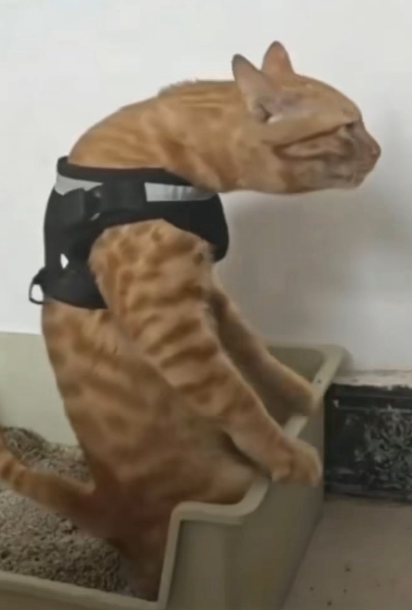 chefaboozy's tweet image. I hate it when I see someone with this body posture in his early twenties talking about fitness 😭