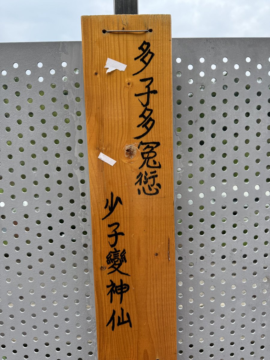 憂鬱的貓小姐 tweet media