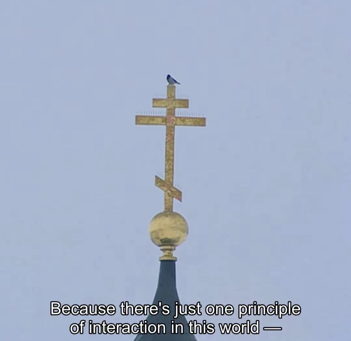 Waspvril's tweet image. Loyalty is the only virtue that matters.