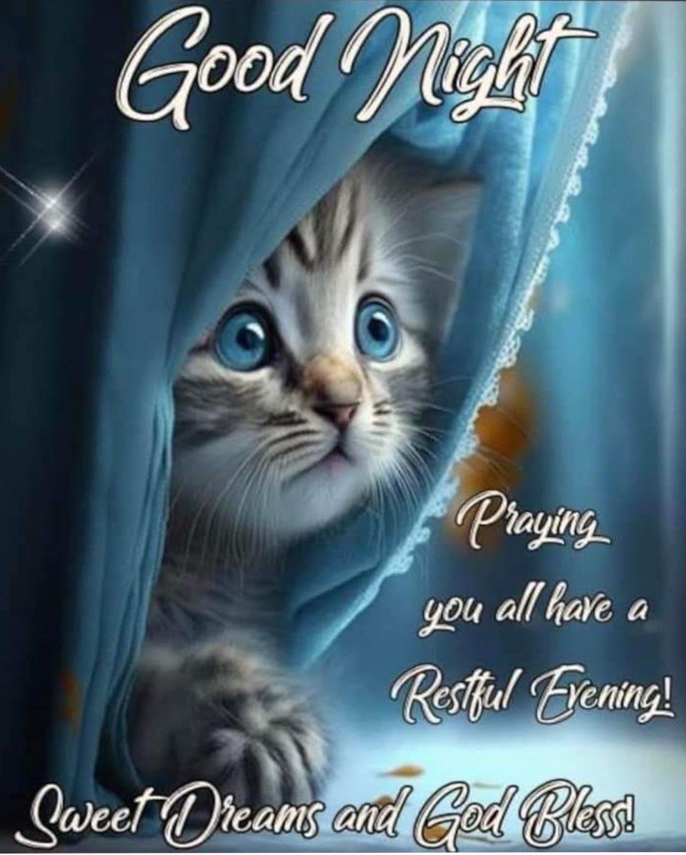 Good night all. Thank you for your prayers. Ruger is out like a light and I'm done for the day. Sweet dreams to everyone.