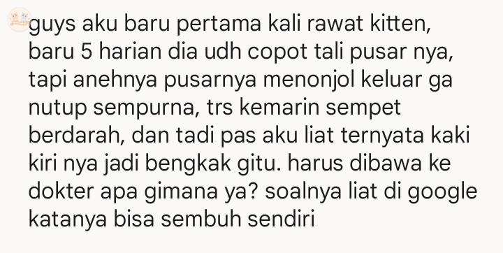kochengfs's tweet image. kcg! bantuin sender pls, bingung bgt
