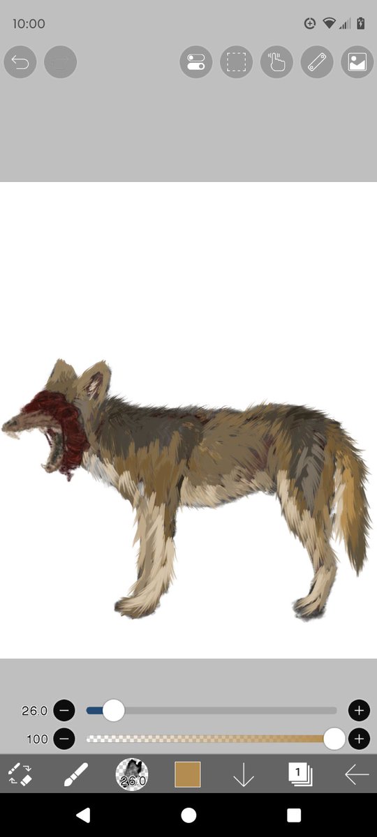 uhhDrMiller's tweet image. Fur loss